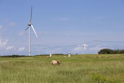 Wind turbines on land