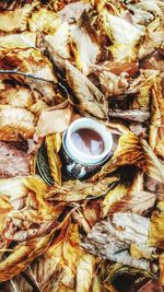 Close-up of food on table