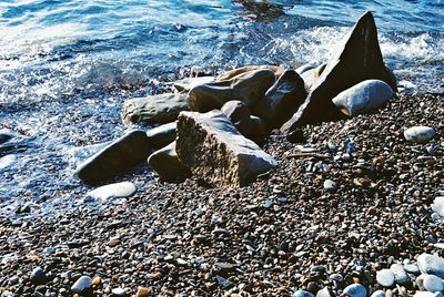 Pebbles on beach