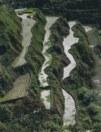 Rice terraces in philippines from above