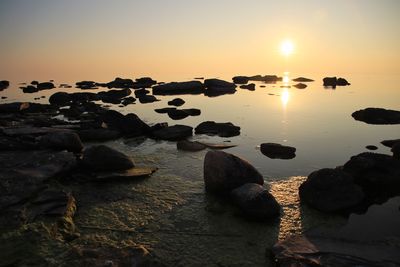 Scenic view of calm sea at sunset