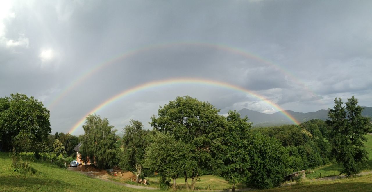 tree, sky, rainbow, cloud - sky, scenics, beauty in nature, tranquility, tranquil scene, nature, landscape, cloudy, green color, growth, idyllic, cloud, road, grass, outdoors, weather, field