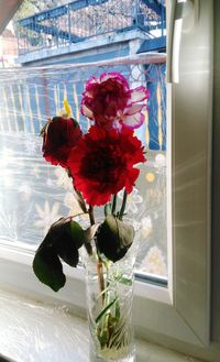 Close-up of red flowers in vase