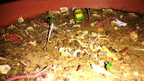 Close-up of multi colored wall