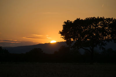 Silhouette trees on field against sky during sunset