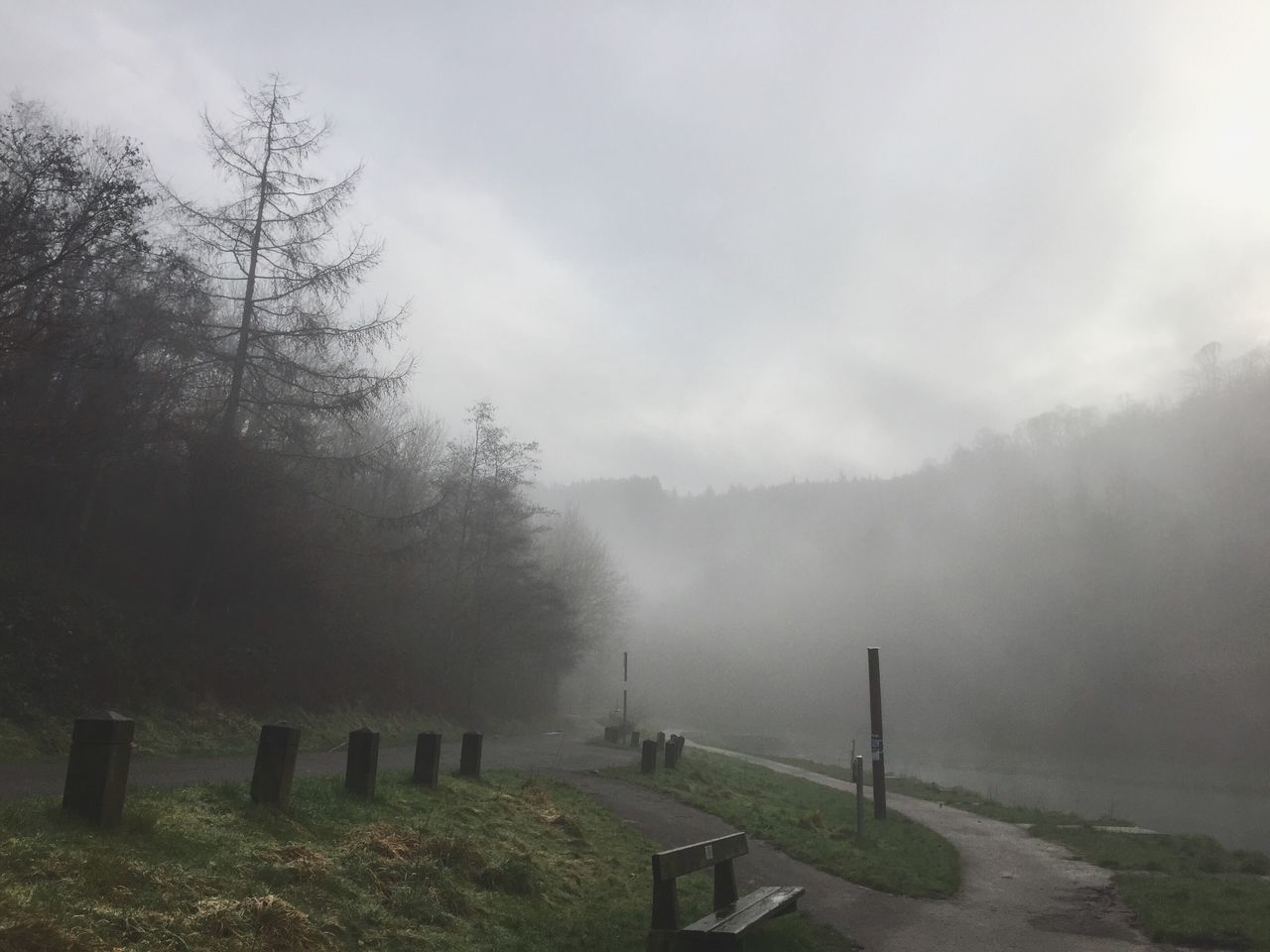 nature, tree, tranquility, beauty in nature, fog, weather, tranquil scene, idyllic, growth, scenics, landscape, no people, day, outdoors, water, sky