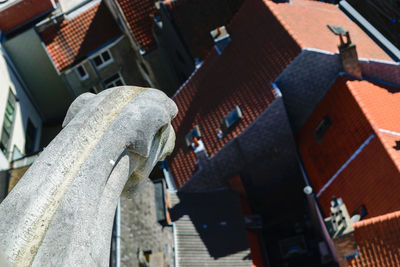 Close-up of roof