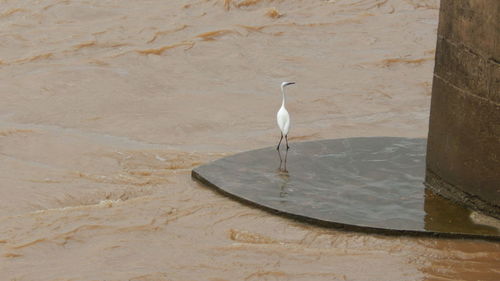 Close-up of water