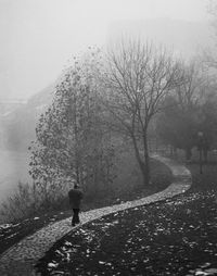 Foggy view  of man walking on winding walkway in park