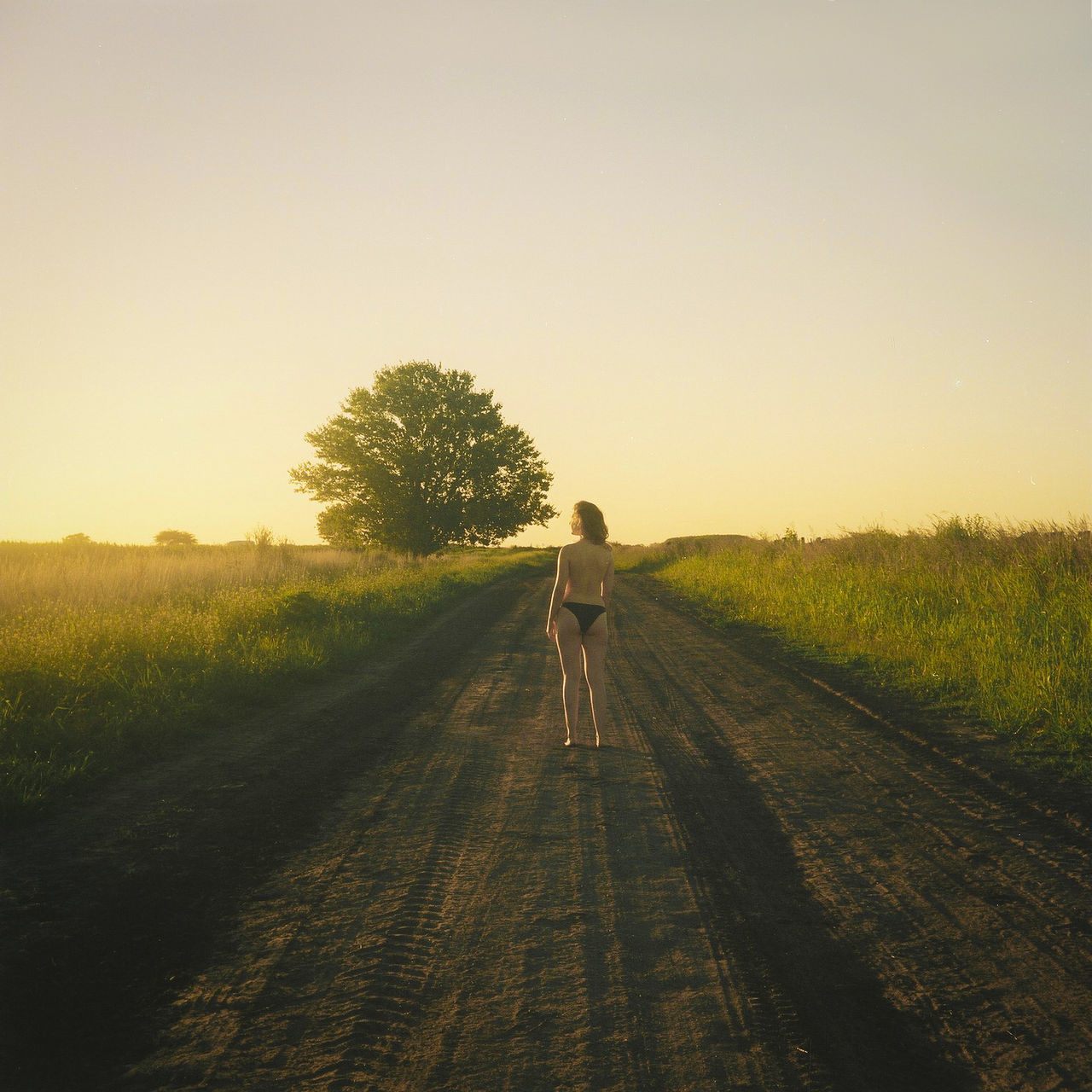 one person, full length, sky, direction, transportation, the way forward, road, real people, plant, field, rear view, walking, land, nature, clear sky, leisure activity, lifestyles, tree, environment, diminishing perspective, outdoors