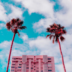 Low angle view of palm tree against sky