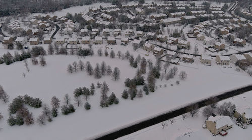 High angle view of snow covered trees and buildings