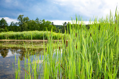 Scenic view of lake against sky