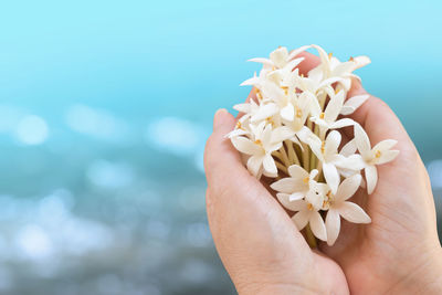 Close-up of cropped hands holding white flowers