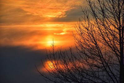 Silhouette tree against dramatic sky during sunset