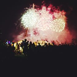 Firework display at night