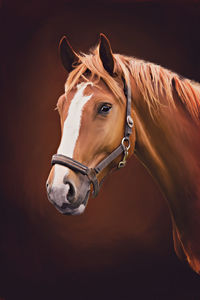Close-up of horse against brown background