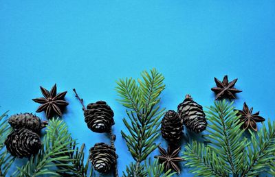 Low angle view of palm trees against blue sky