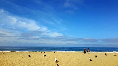 Silhouette of people on beach