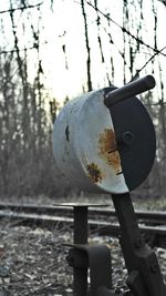 Close-up of cropped object