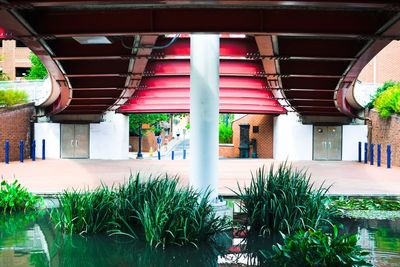 Potted plants on balcony