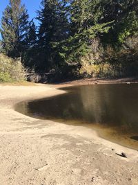 View of dirt road by trees