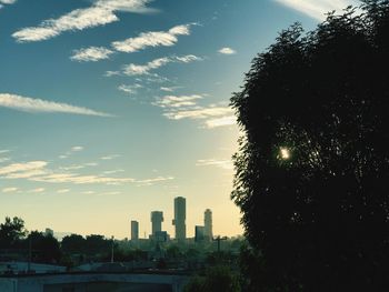 Silhouette trees and buildings against sky during sunset