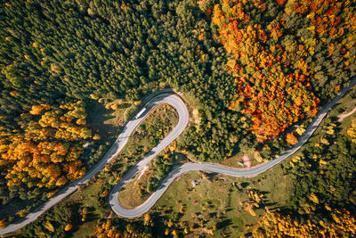 Aerial view of winding road in autumn forest