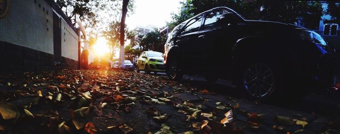 Cars on road at sunset