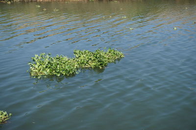 High angle view of lake