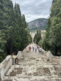 Group of people on mountain against trees