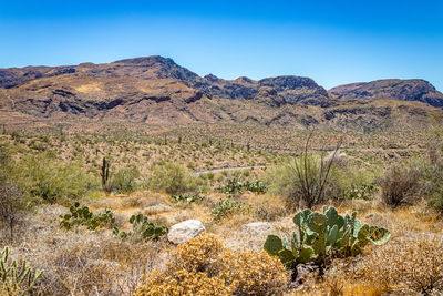 Scenic view of arid landscape against clear sky