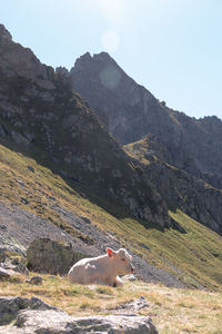 Scenic view of mountain range against sky