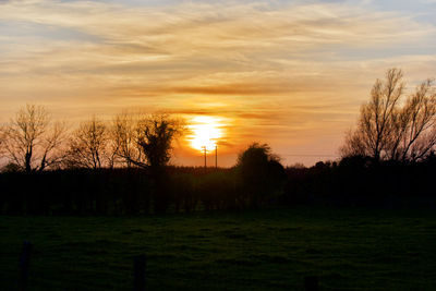 Silhouette trees on field against sky at sunset