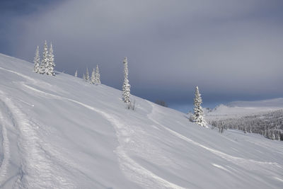 Sunny winter morning in the mountains of sheregesh on the ski track