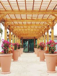 Potted plants at entrance of building