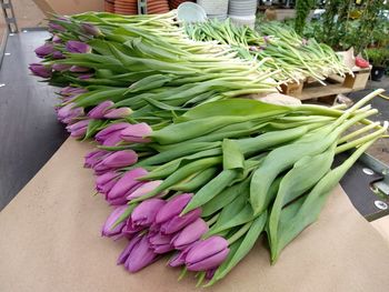 High angle view of flowers for sale in market