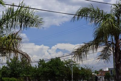 Low angle view of power lines against sky