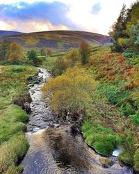 Scenic view of stream against cloudy sky