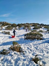 One boy with a sled in the snow