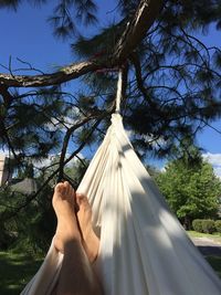 Low section of woman relaxing on tree against sky