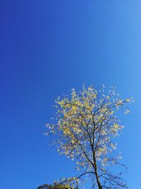 clear sky