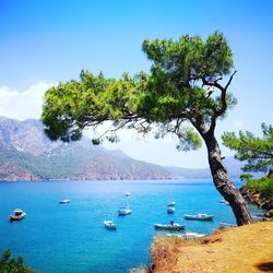 Boats moored in sea against blue sky