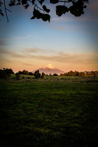 Scenic view of field against sky during sunset
