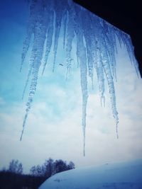 Low angle view of icicles against sky