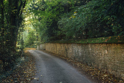 Scenic view of a road amidst woods and a stoned wall. road amidst trees 