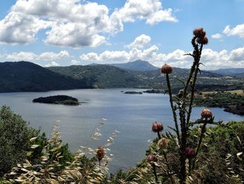 Scenic view of lake against sky