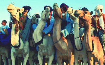 large group of people, men, lifestyles, leisure activity, person, clear sky, togetherness, day, horse, blue, outdoors, sky, mixed age range, sunlight, crowd, standing, medium group of people, animal themes