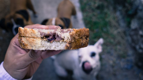 Cropped hand holding breads