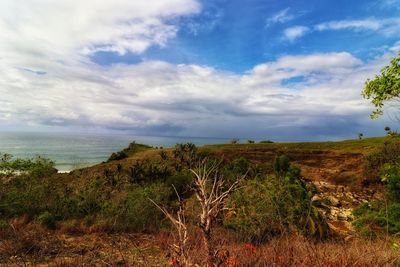 Scenic view of sea against sky